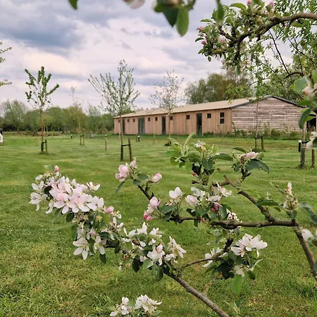 De Wilde Tuin - Iris Appartement *